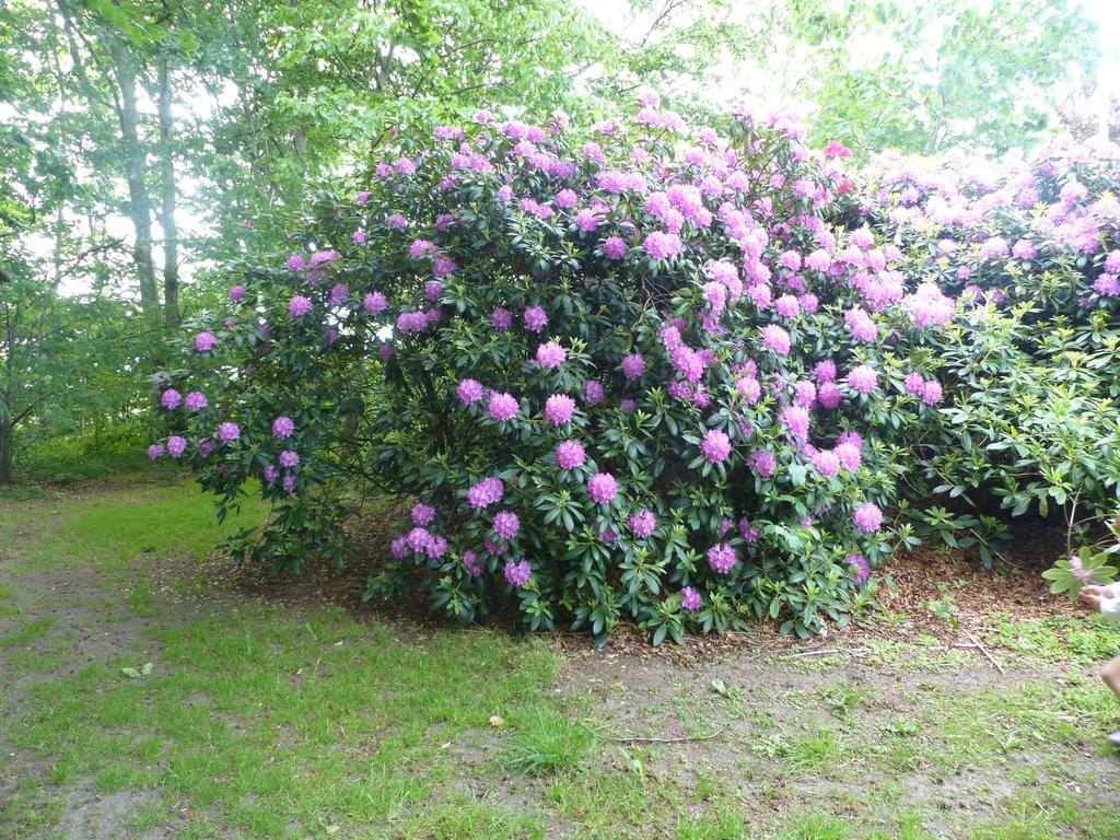 Kristiansminde Farm Holiday Tistrup Екстериор снимка